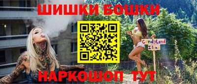 индика Будённовск