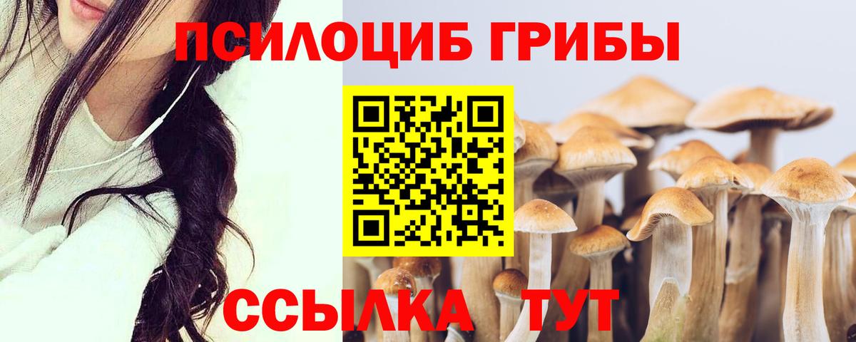 Кузнецк  Галлюциногенные грибы мицелий  Вход с VPN  Псилоцибиновые грибы мухоморы 